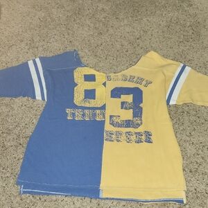 Free People Split-Panel Long Sleeve Tee in Blue and Yellow